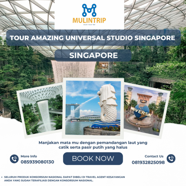 Tour Amazing Universal Studio Singapore 3D2N